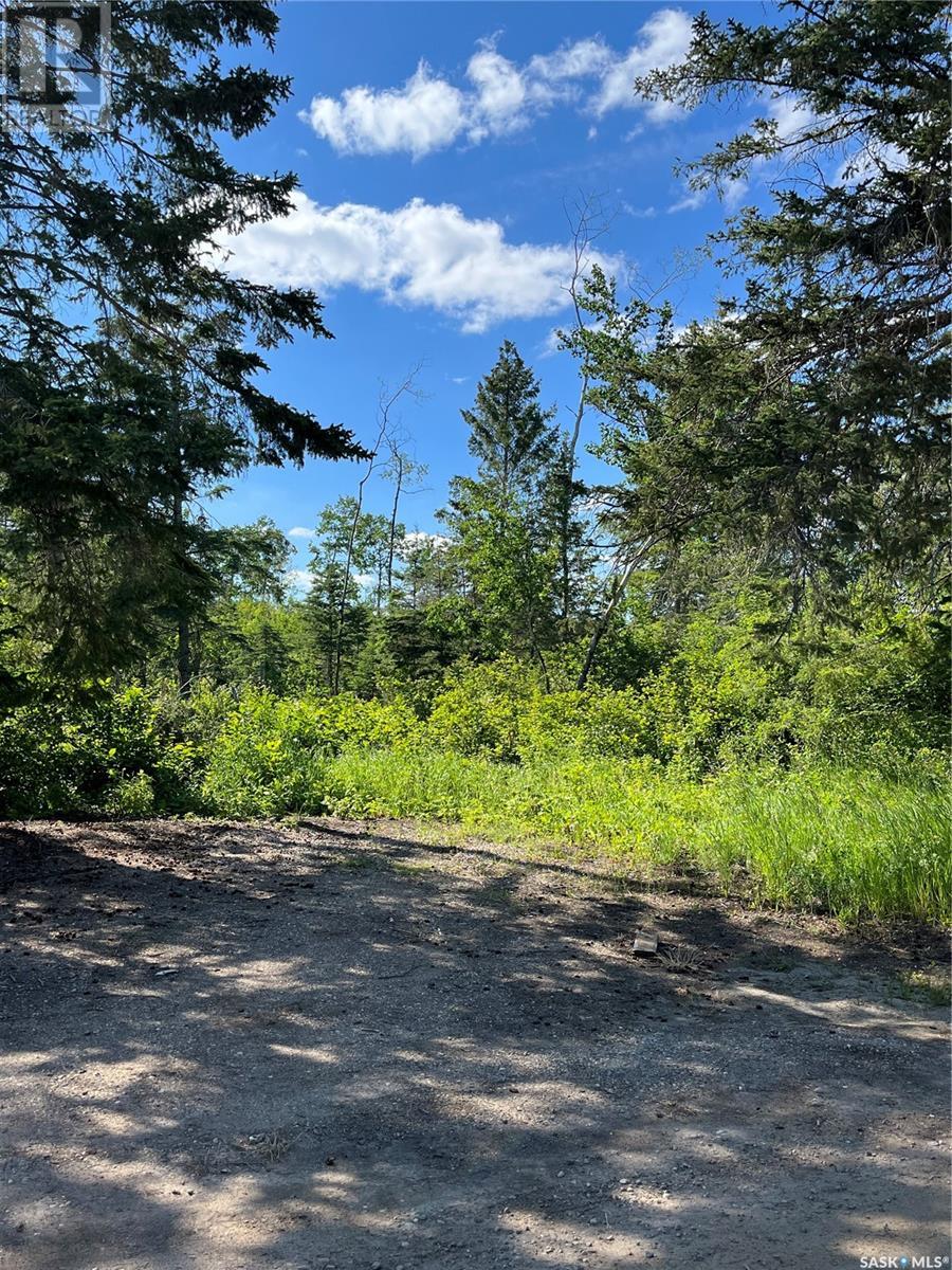 4 Lakeview Avenue N, For Sale in Canwood No. 494 Zoocasa