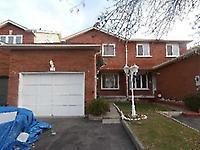 11 Tulip Dr