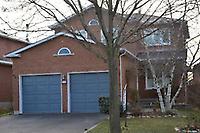 21 Winterberry Dr
