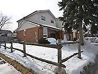 6 Winterfold Dr