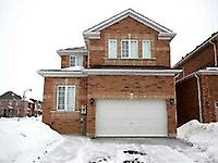 17 Yellow Avens Blvd